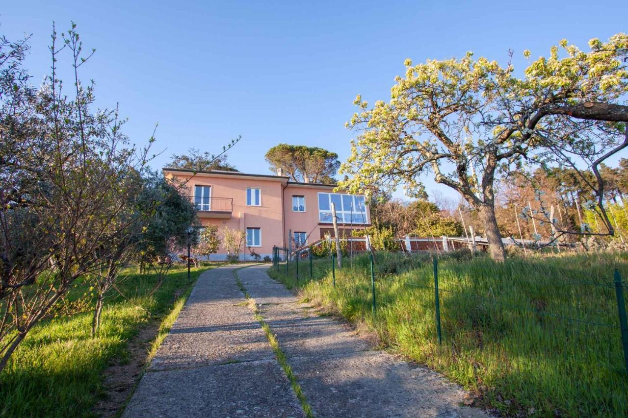 La Camelia Bianca B&B Lerici Ngoại thất bức ảnh